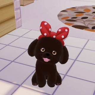 �Ԃ����{��