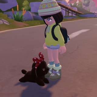 ���������