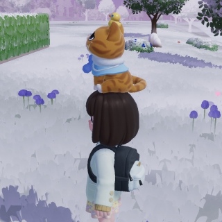 ���o�����������