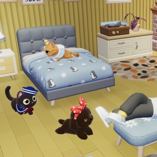 �p�y�b�g�A�j���[�V����