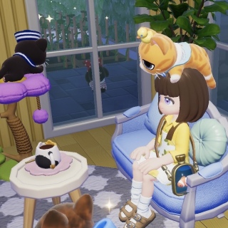 ��������