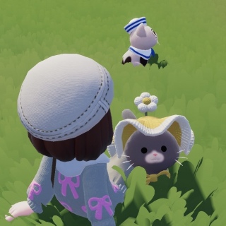 �����ڂ���