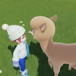 �A���p�J�����