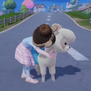 �A���p�J�����