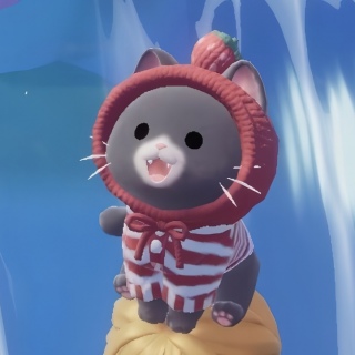 �X�s�J�����